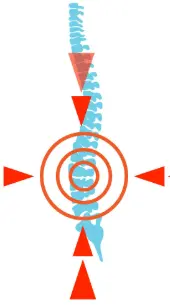 spine image, related to chiropractic