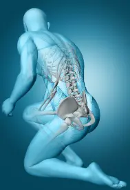 chiropractic. seo company for chiropractors